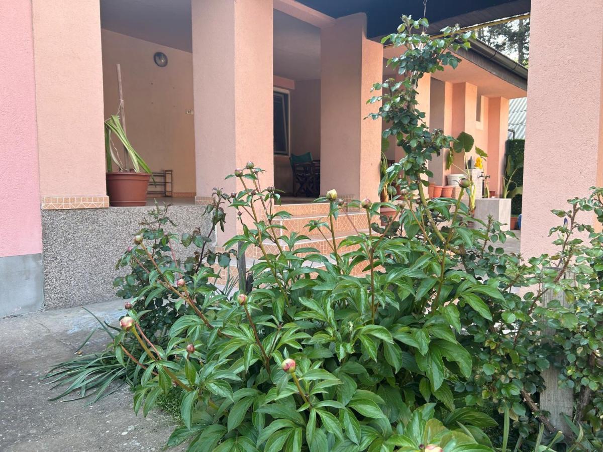 Milica Apartmani Vrdnik Exterior foto