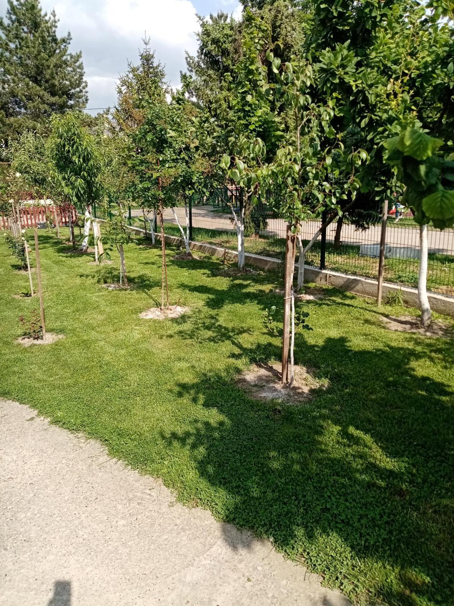 Milica Apartmani Vrdnik Exterior foto
