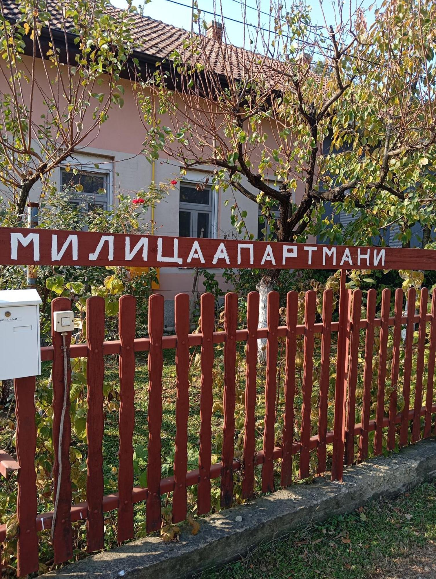 Milica Apartmani Vrdnik Exterior foto