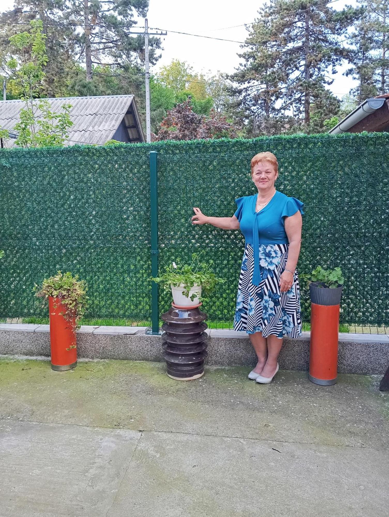 Milica Apartmani Vrdnik Exterior foto