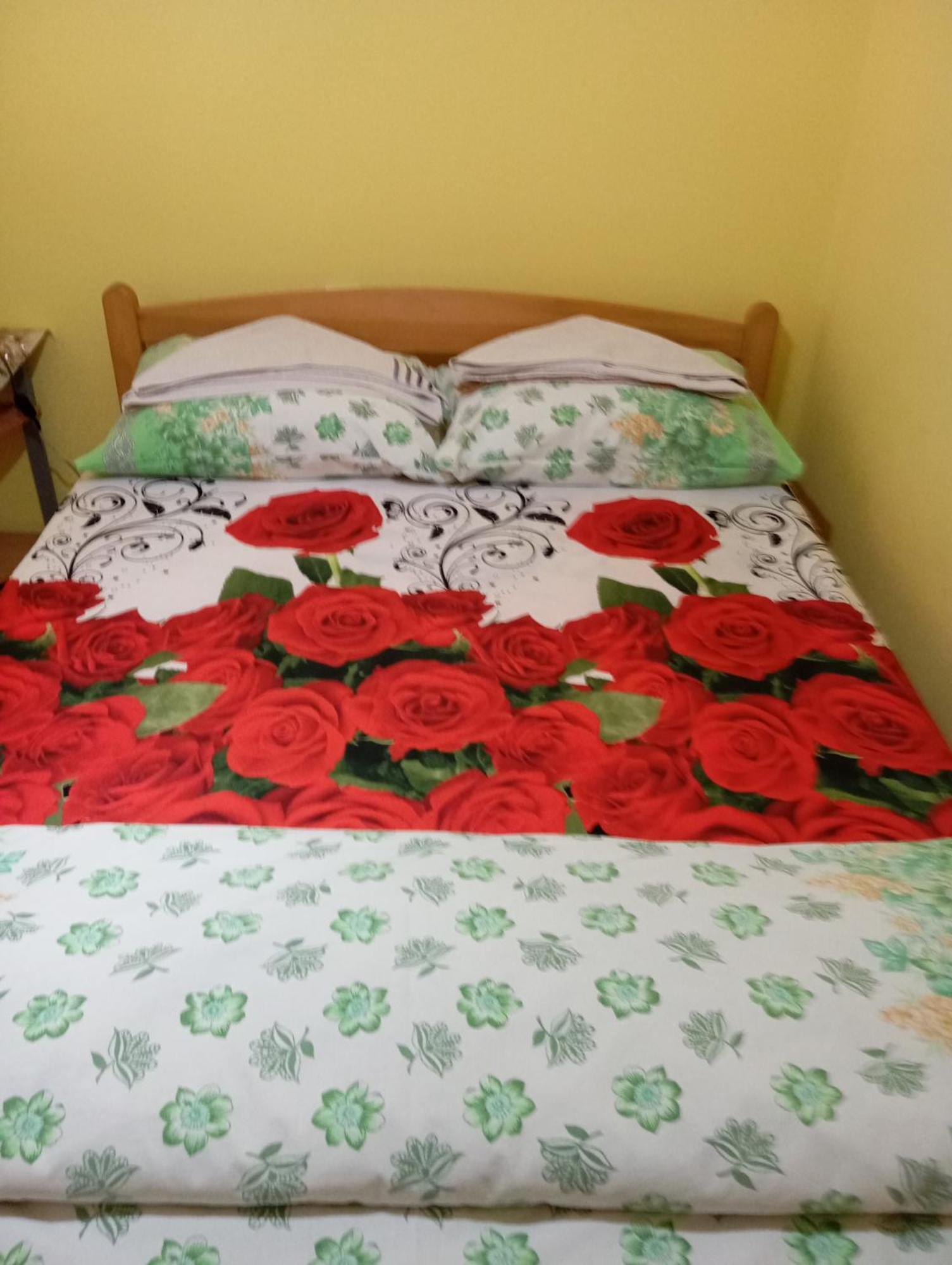 Milica Apartmani Vrdnik Exterior foto